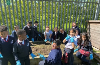 Fruit Tree Planting 🌳