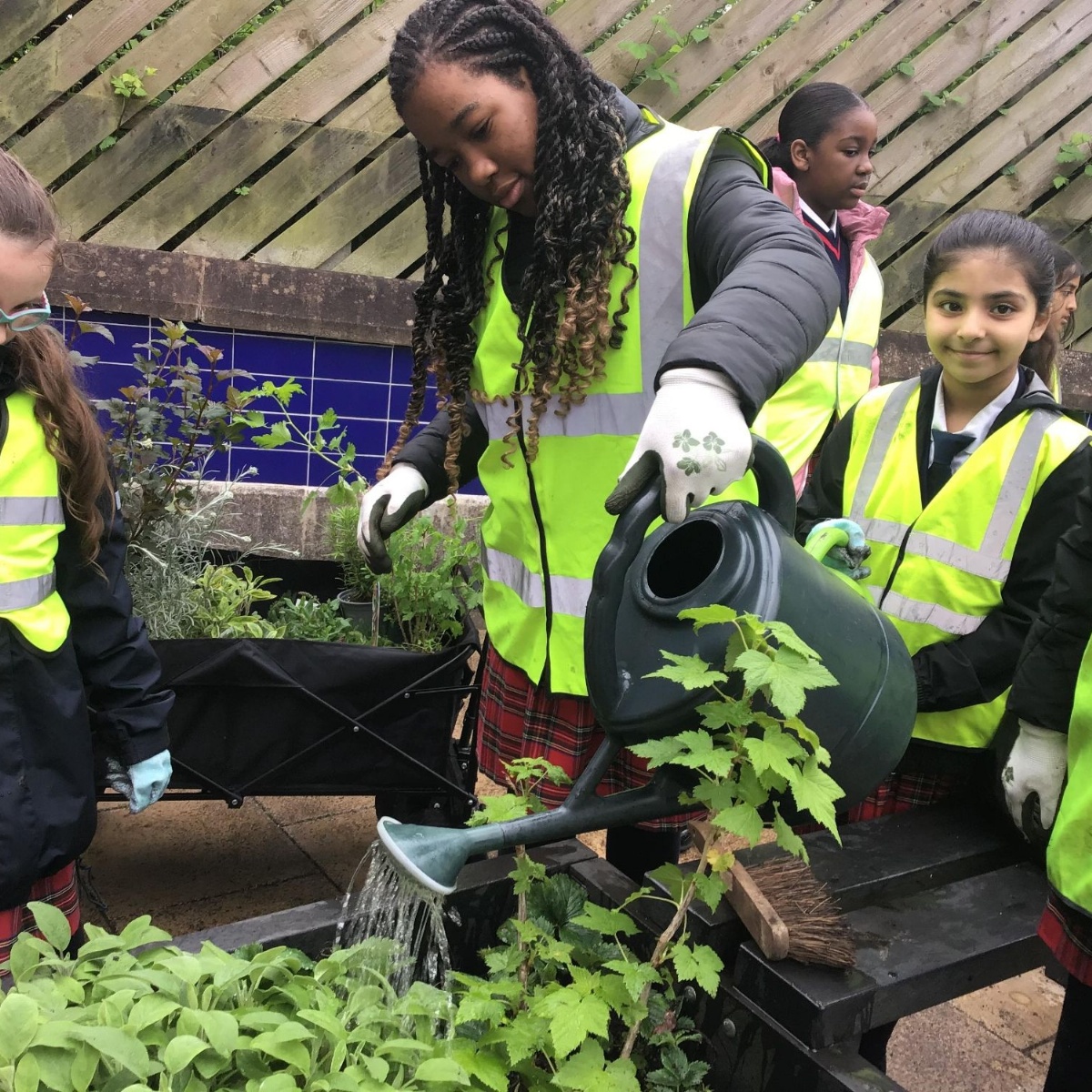 St Mary's and St Joseph's Roman Catholic Primary School - Gardeners ...
